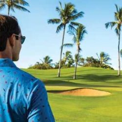 Maui jim training register accessify